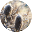 Philip Ient profile picture